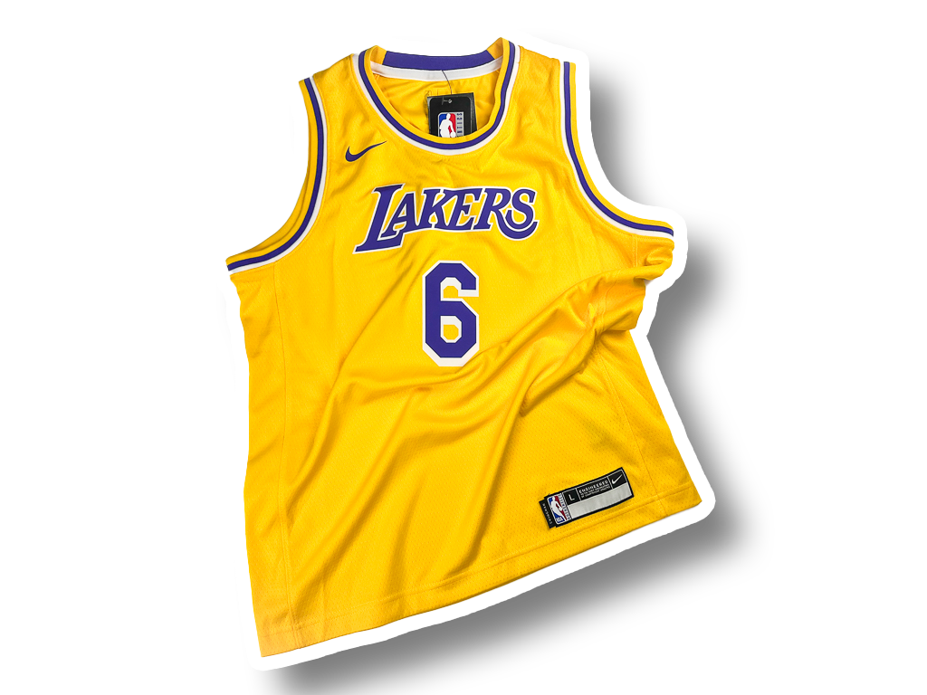 Nike NBA Kids Los Angeles Lakers LeBron James Icon Edition Swingman Jersey