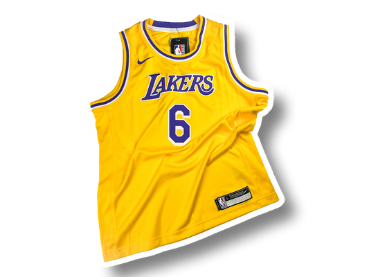 Nike NBA Kids Los Angeles Lakers LeBron James Icon Edition Swingman Jersey